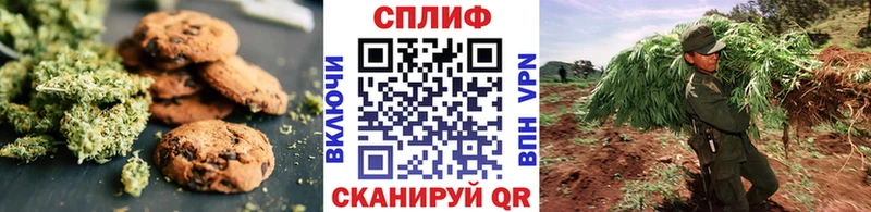 omg   Ковров  Canna-Cookies конопля 