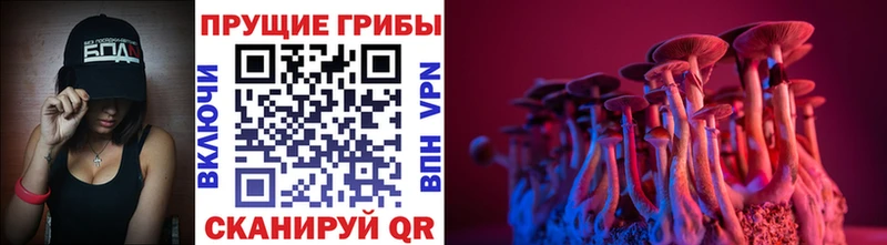 Псилоцибиновые грибы мицелий  Ковров 