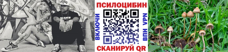 Галлюциногенные грибы ЛСД Ковров
