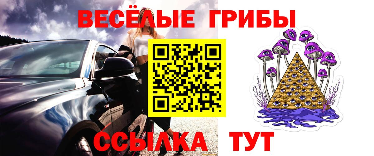 Псилоцибиновые грибы Magic Shrooms Ковров
