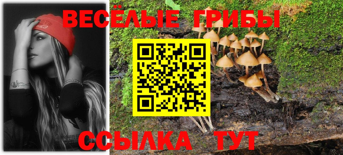 Ковров  Галлюциногенные грибы Cubensis  Вход с VPN 